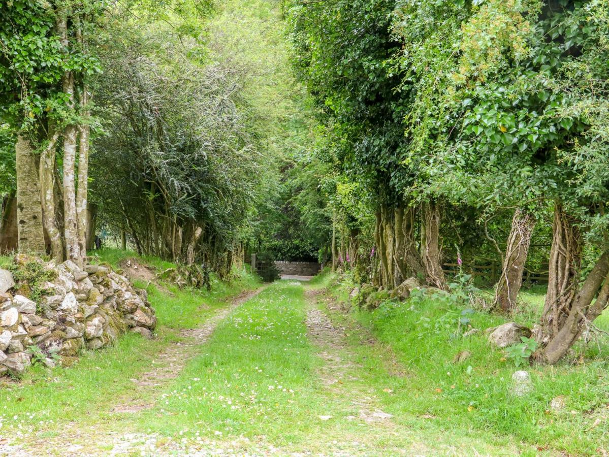 The Old White Cottage Shillelagh Экстерьер фото